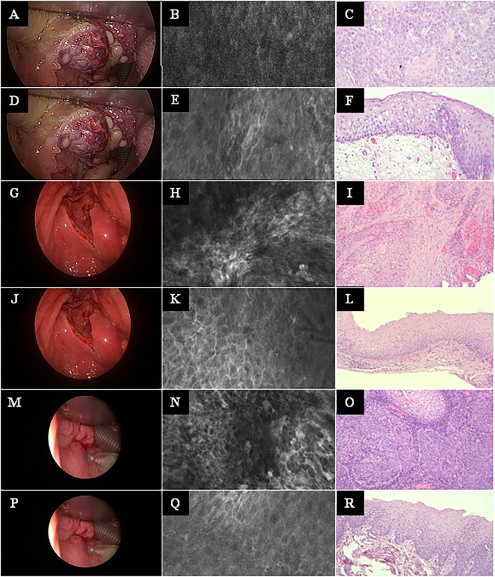 Figure 5