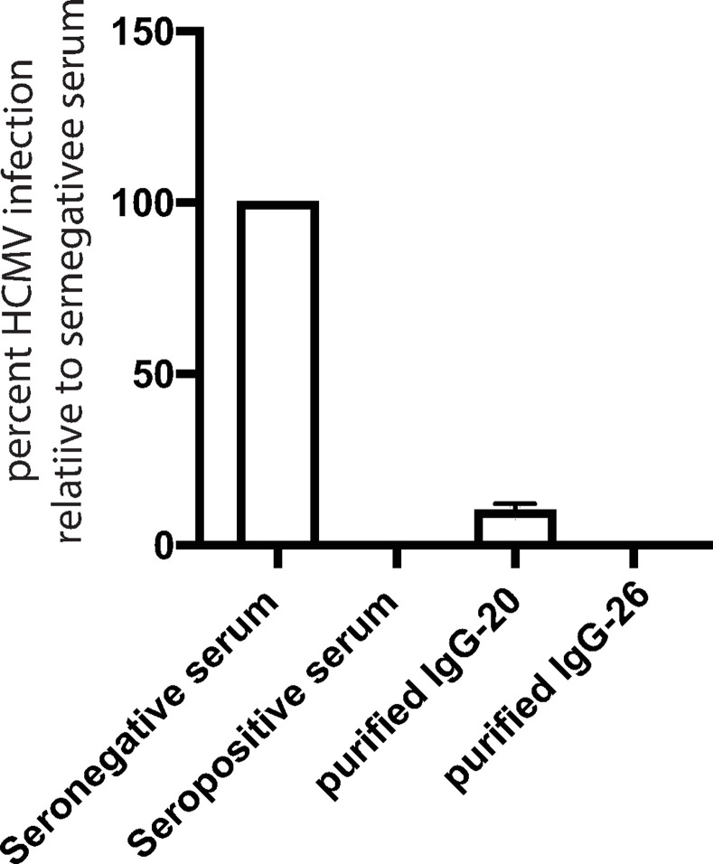 Fig 8