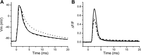 Fig. 2.