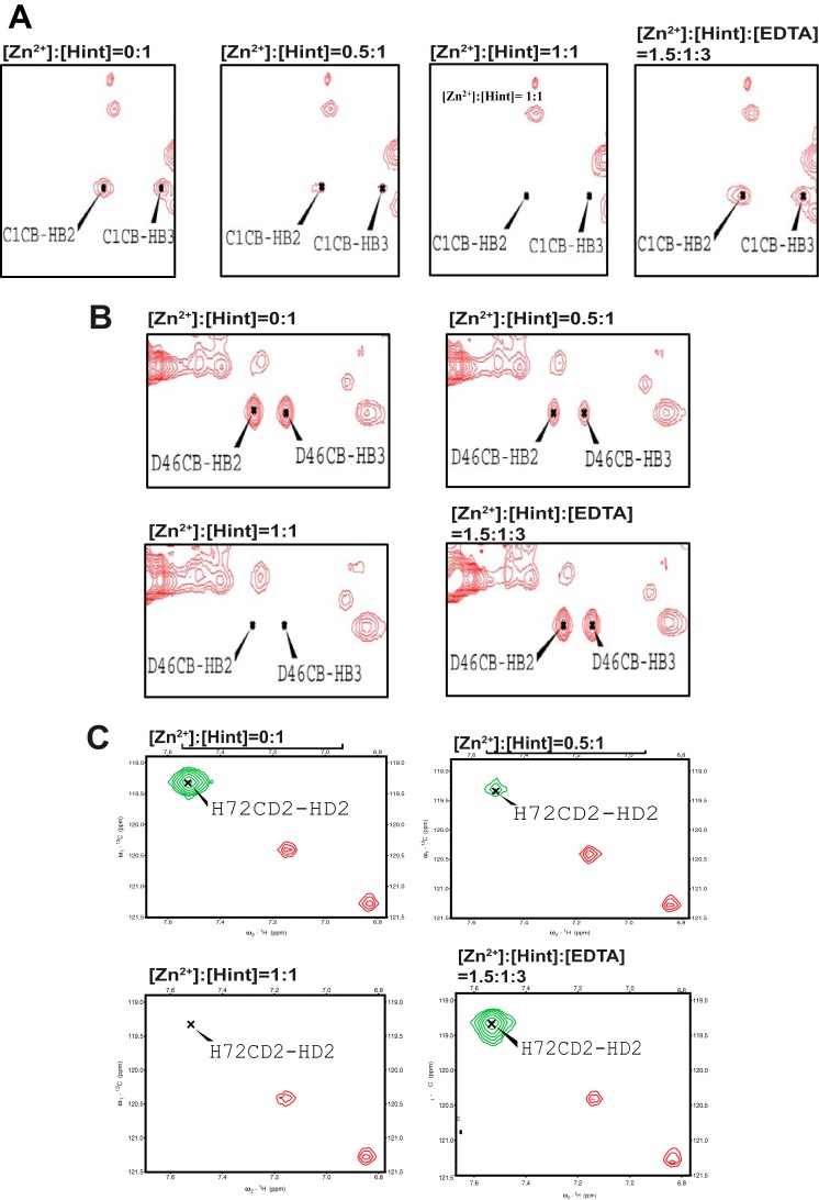 FIGURE 5.