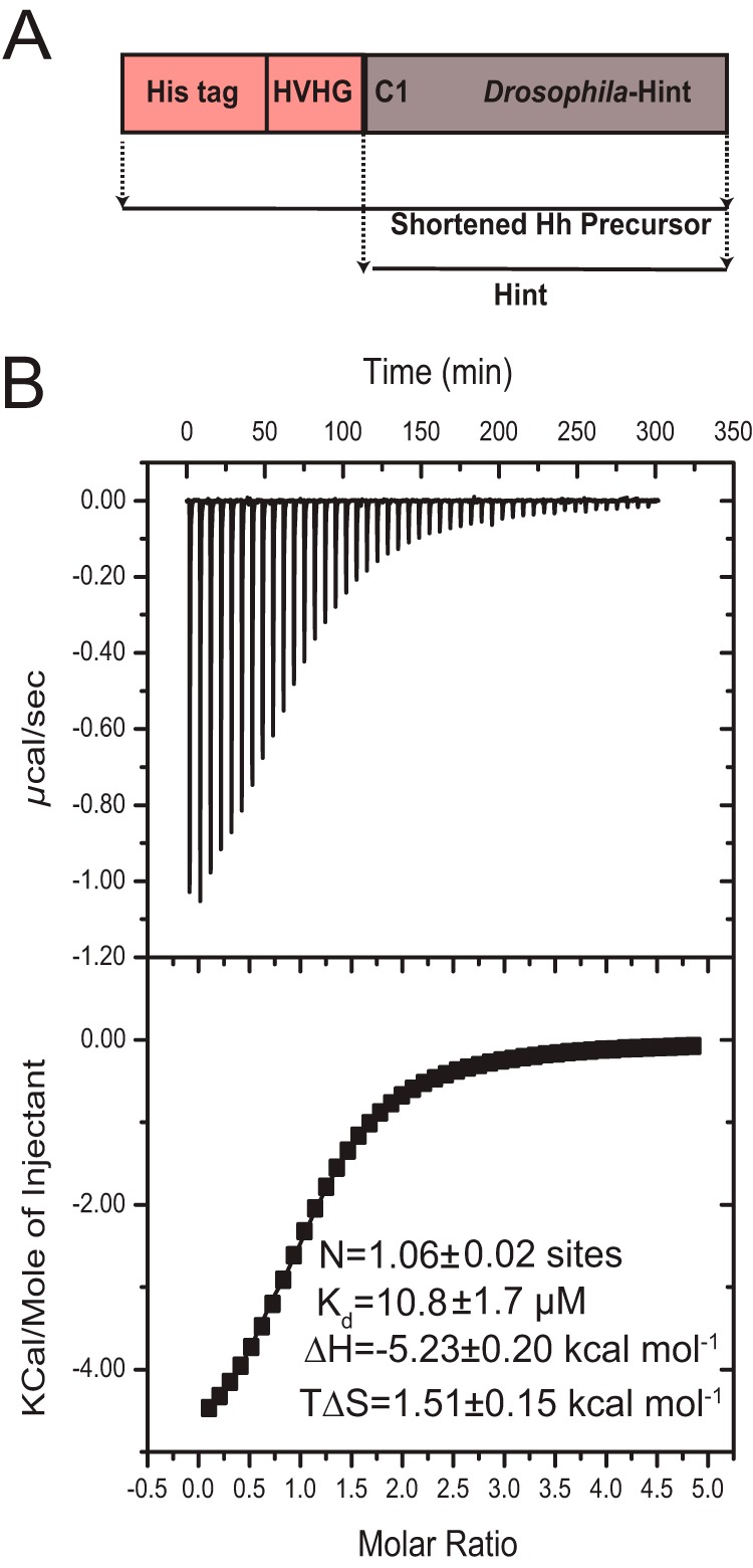 FIGURE 3.