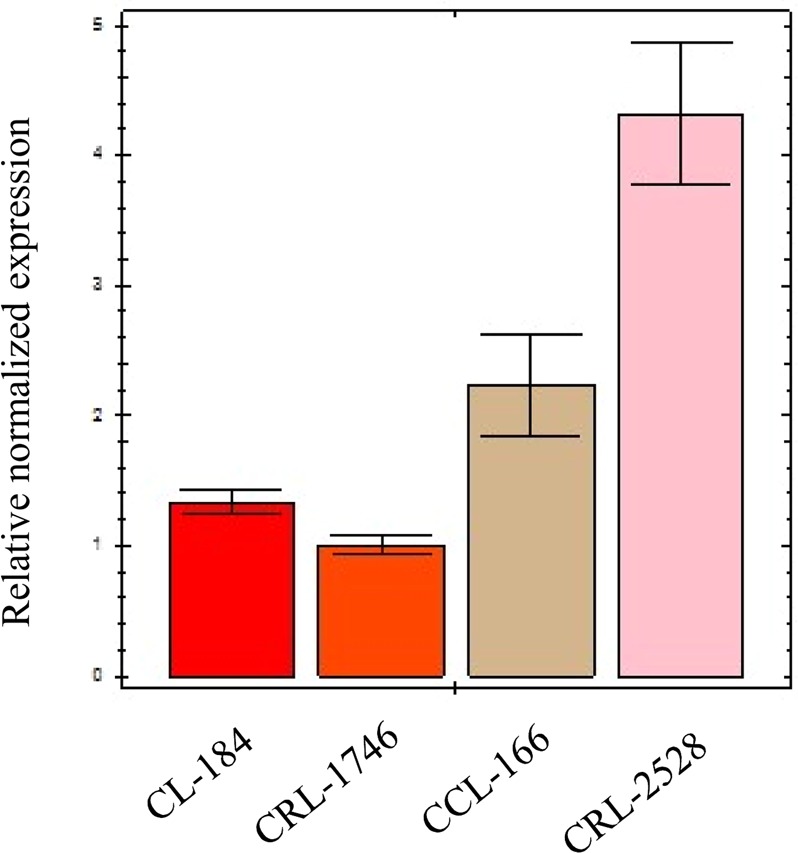 Figure 4