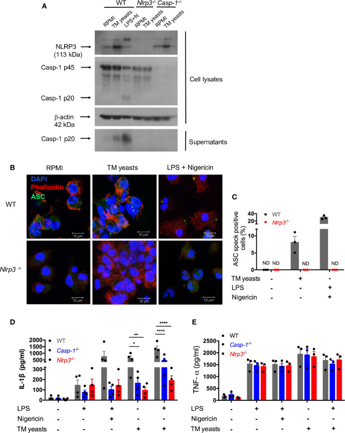 Figure 4