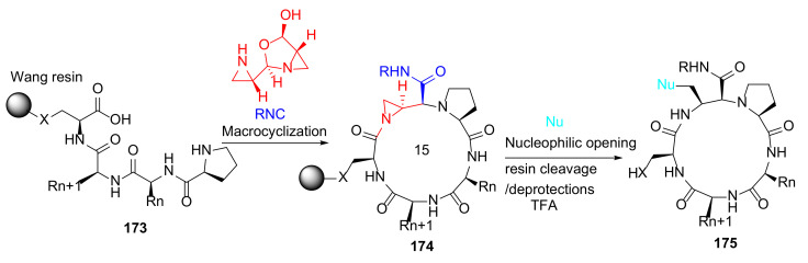 Scheme 52