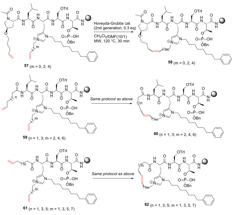 Scheme 18