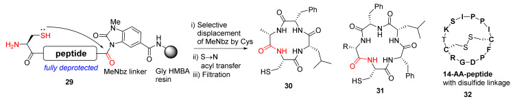 Scheme 10