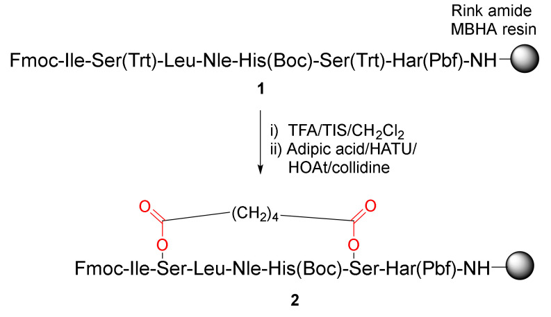 Scheme 1