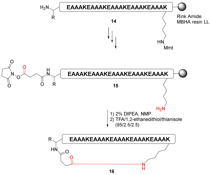 Scheme 6