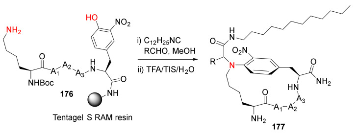 Scheme 53