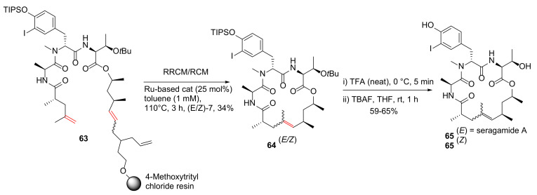 Scheme 19