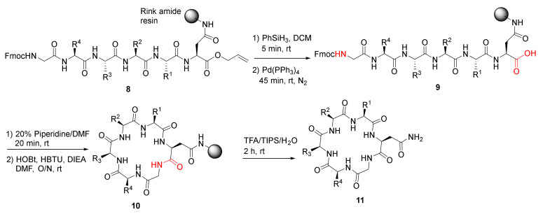 Scheme 4