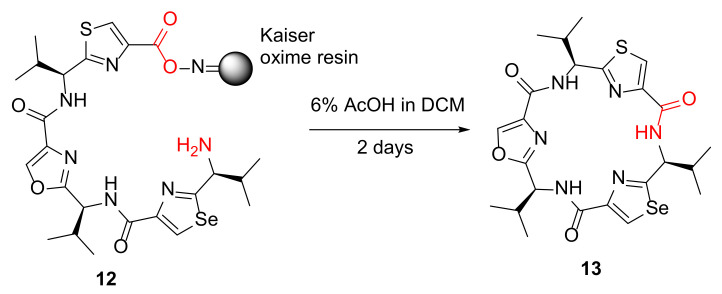 Scheme 5