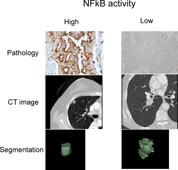 Figure 4—figure supplement 1.