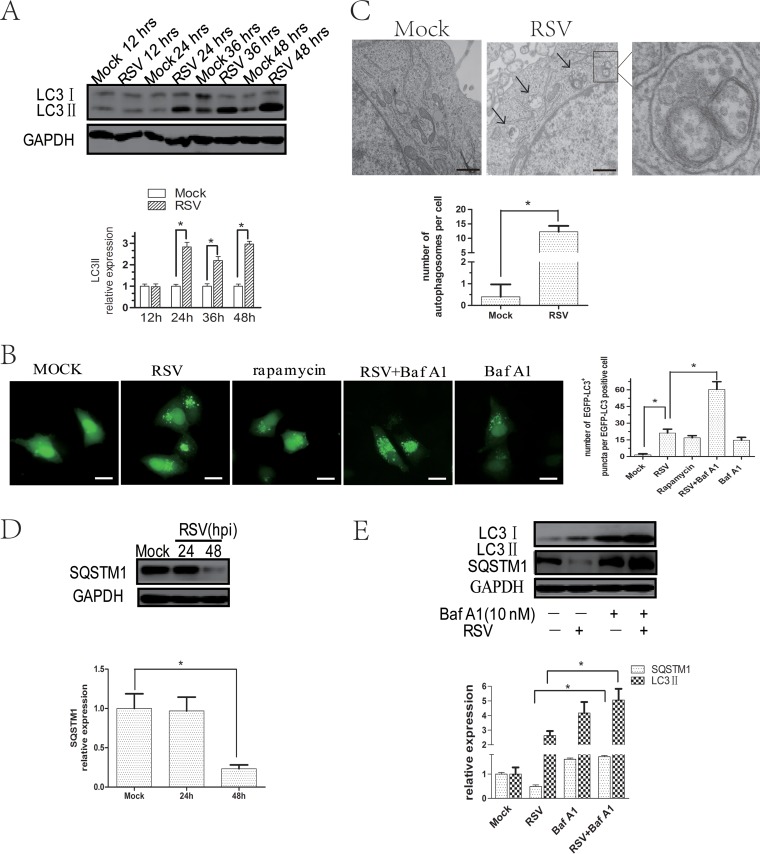 FIG 2