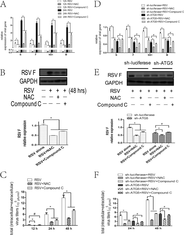 FIG 6