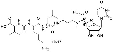 graphic file with name molecules-23-02868-i001.jpg