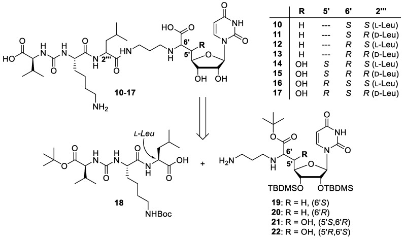 Scheme 2