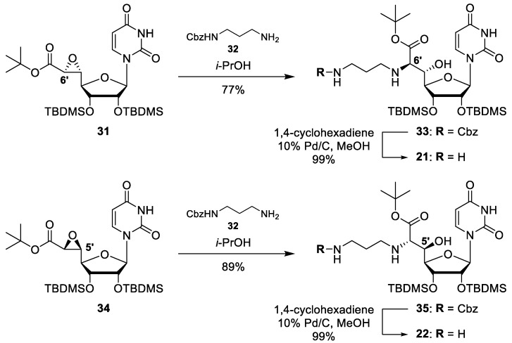 Scheme 4