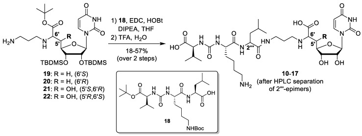 Scheme 5