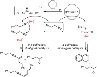 Scheme 5