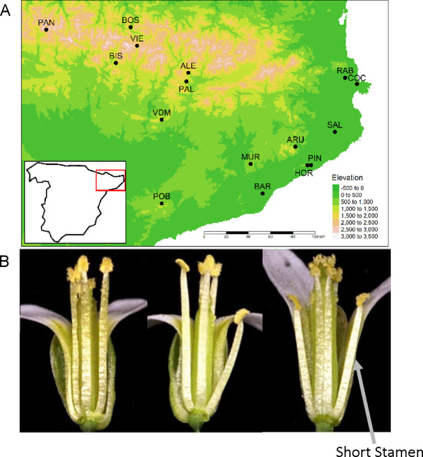 Figure 1: