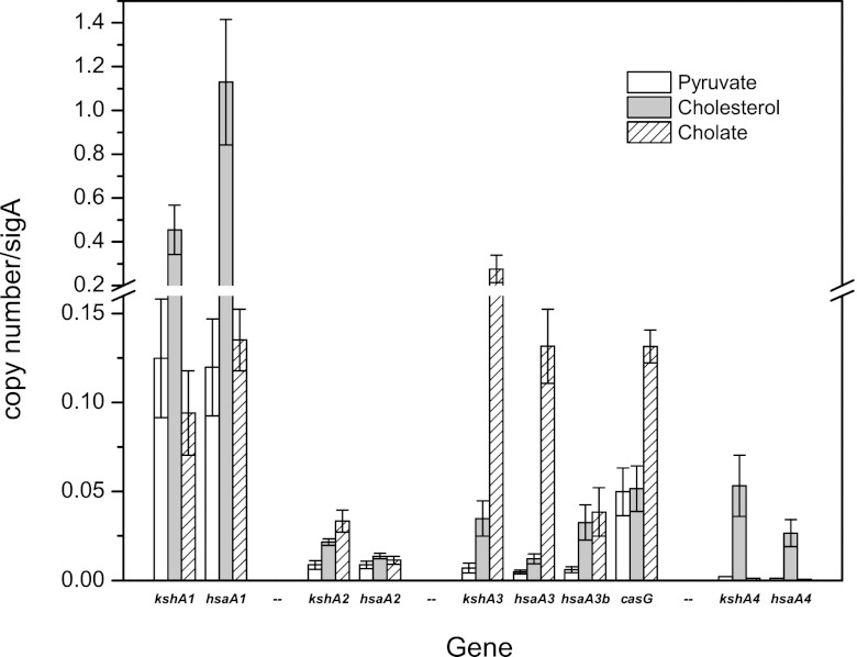 Fig 3