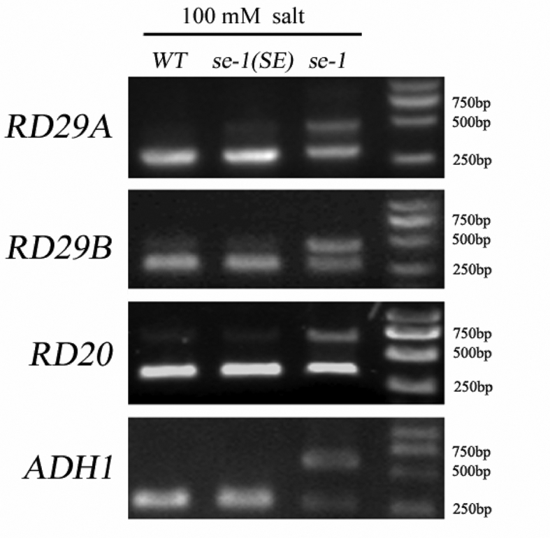 Fig. 6