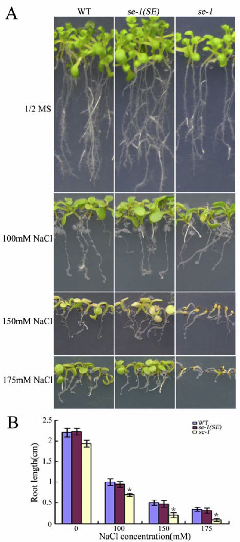 Fig. 4