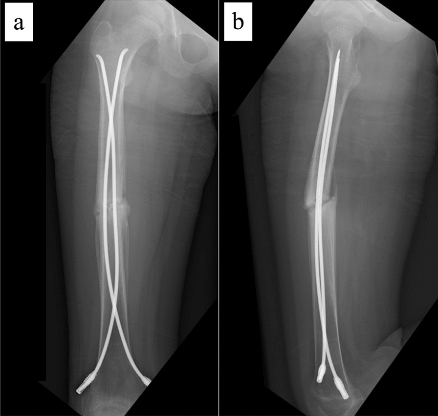 Fig. 5