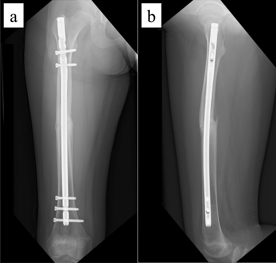 Fig. 7