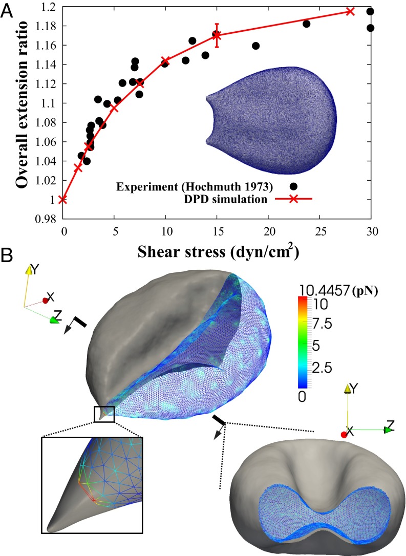 Fig. 4.