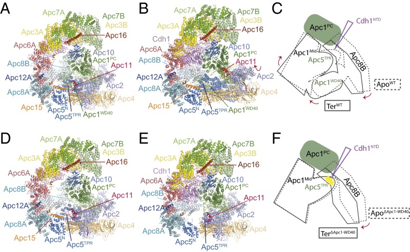 Fig. 4.