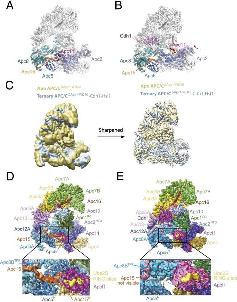 Fig. 3.