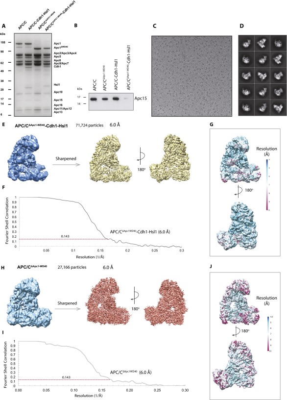 Fig. S5.