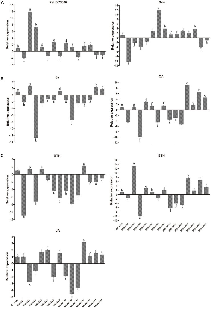 FIGURE 3