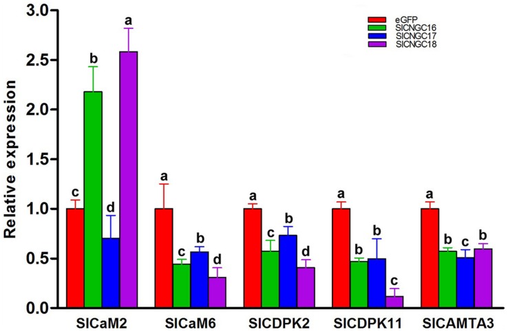 FIGURE 6