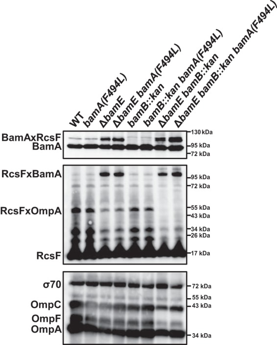 FIG 4