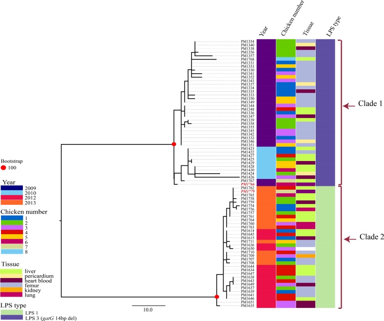 Fig. 2.