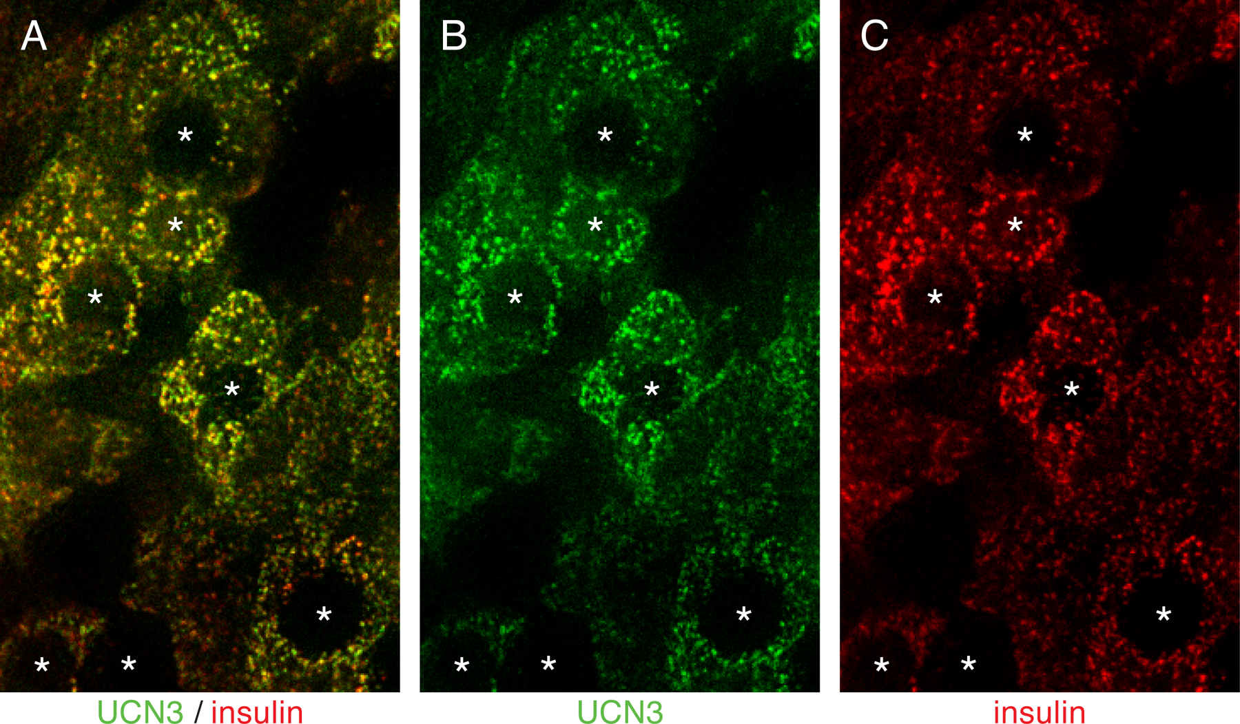 Figure 3: