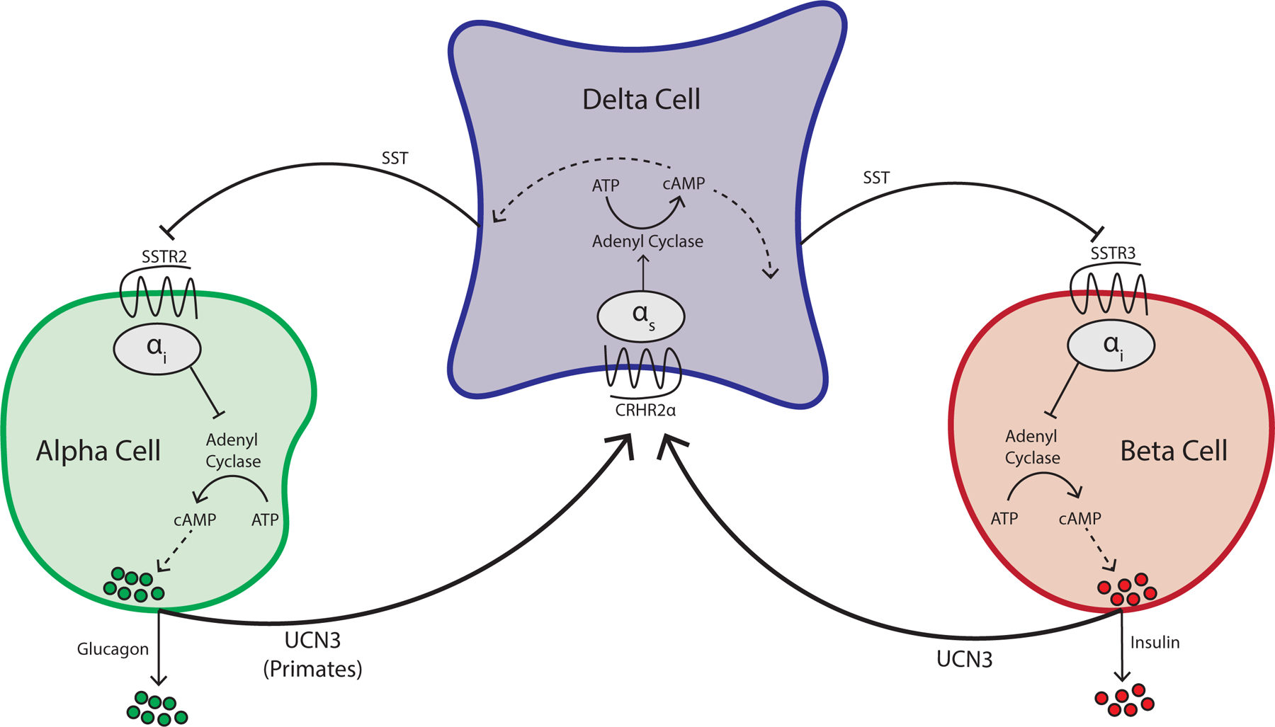 Figure 4: