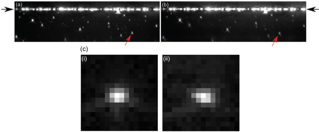 Fig. 10