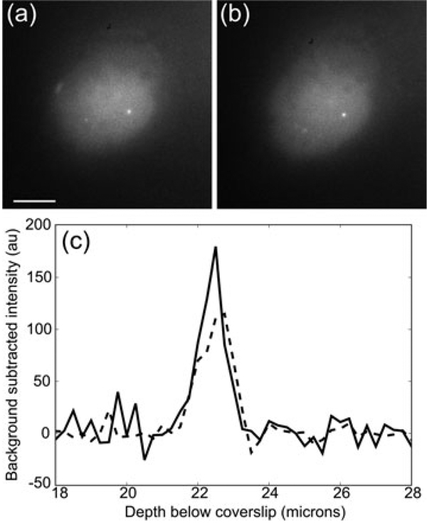 Fig. 7