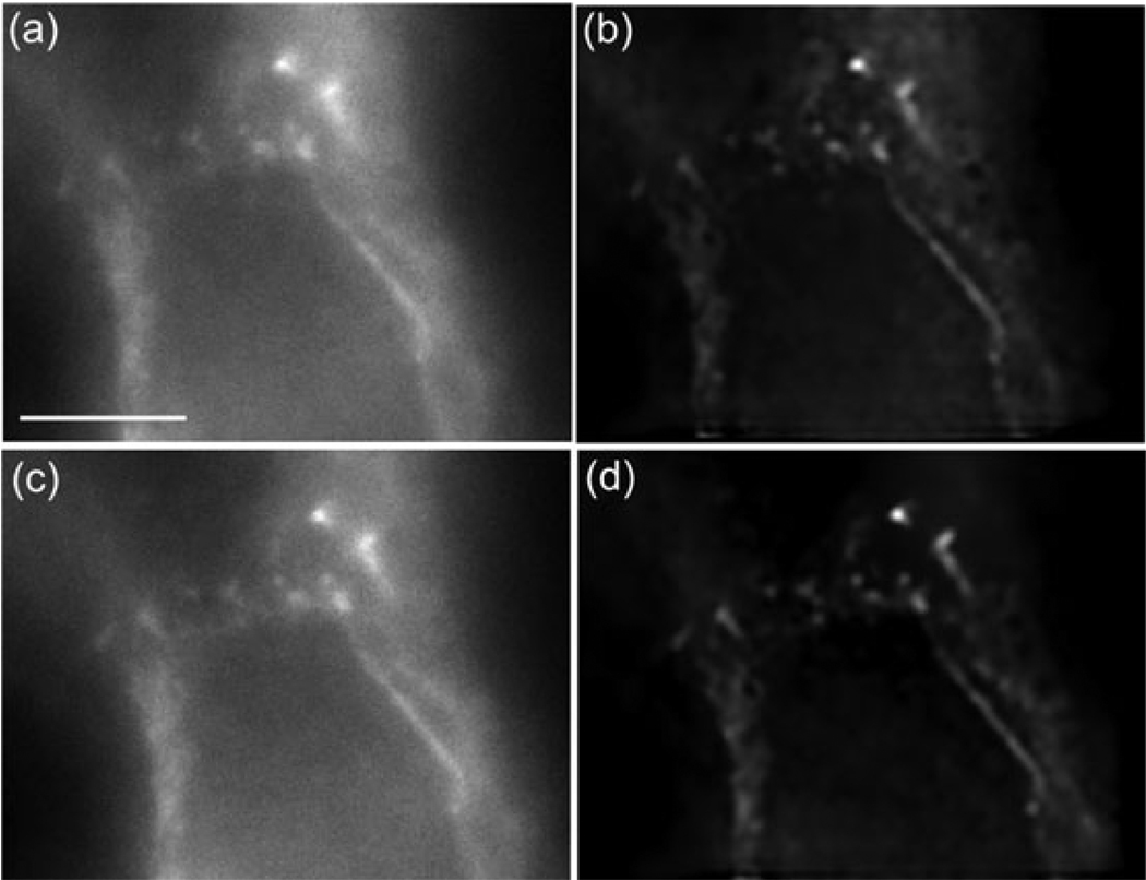 Fig. 9