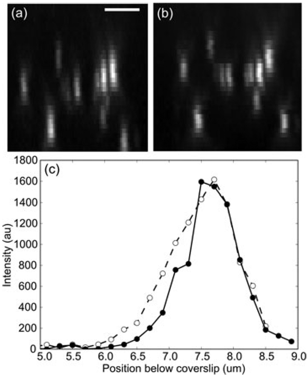 Fig. 8