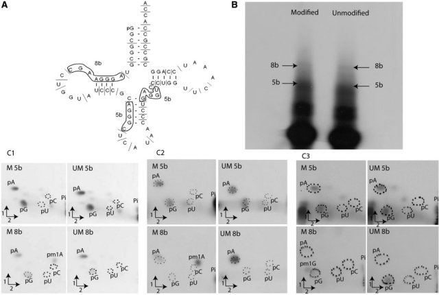 Figure 5.