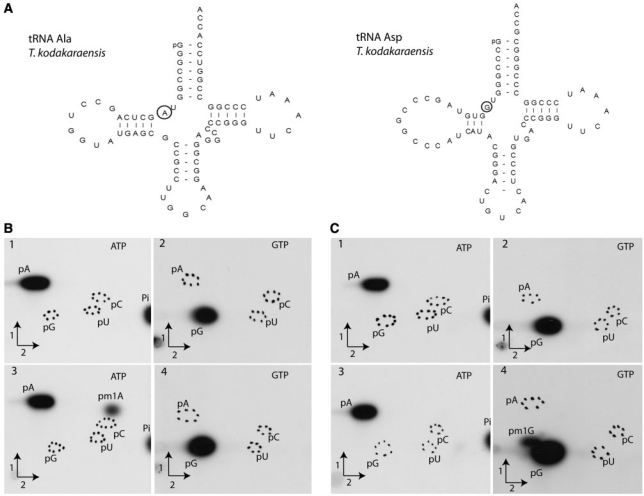 Figure 4.