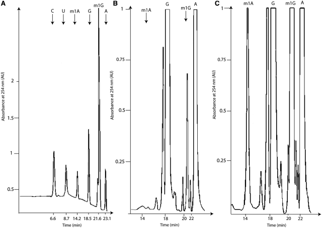 Figure 6.