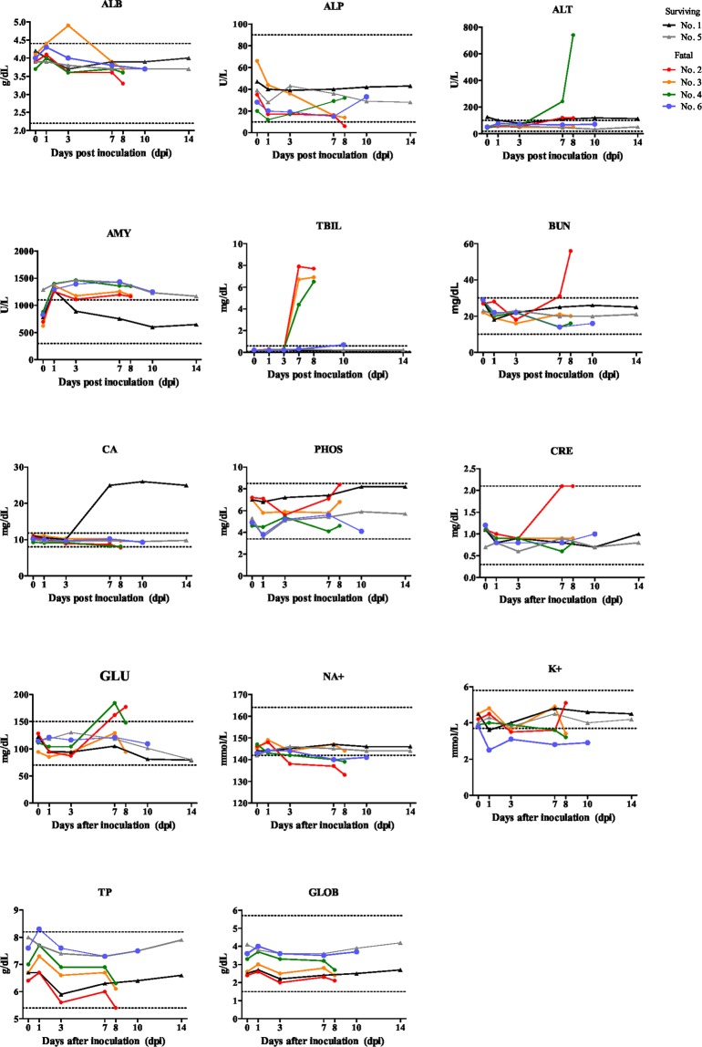 Figure 5