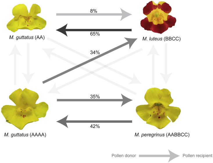 Figure 2