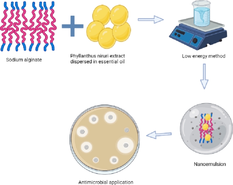 Image, graphical abstract